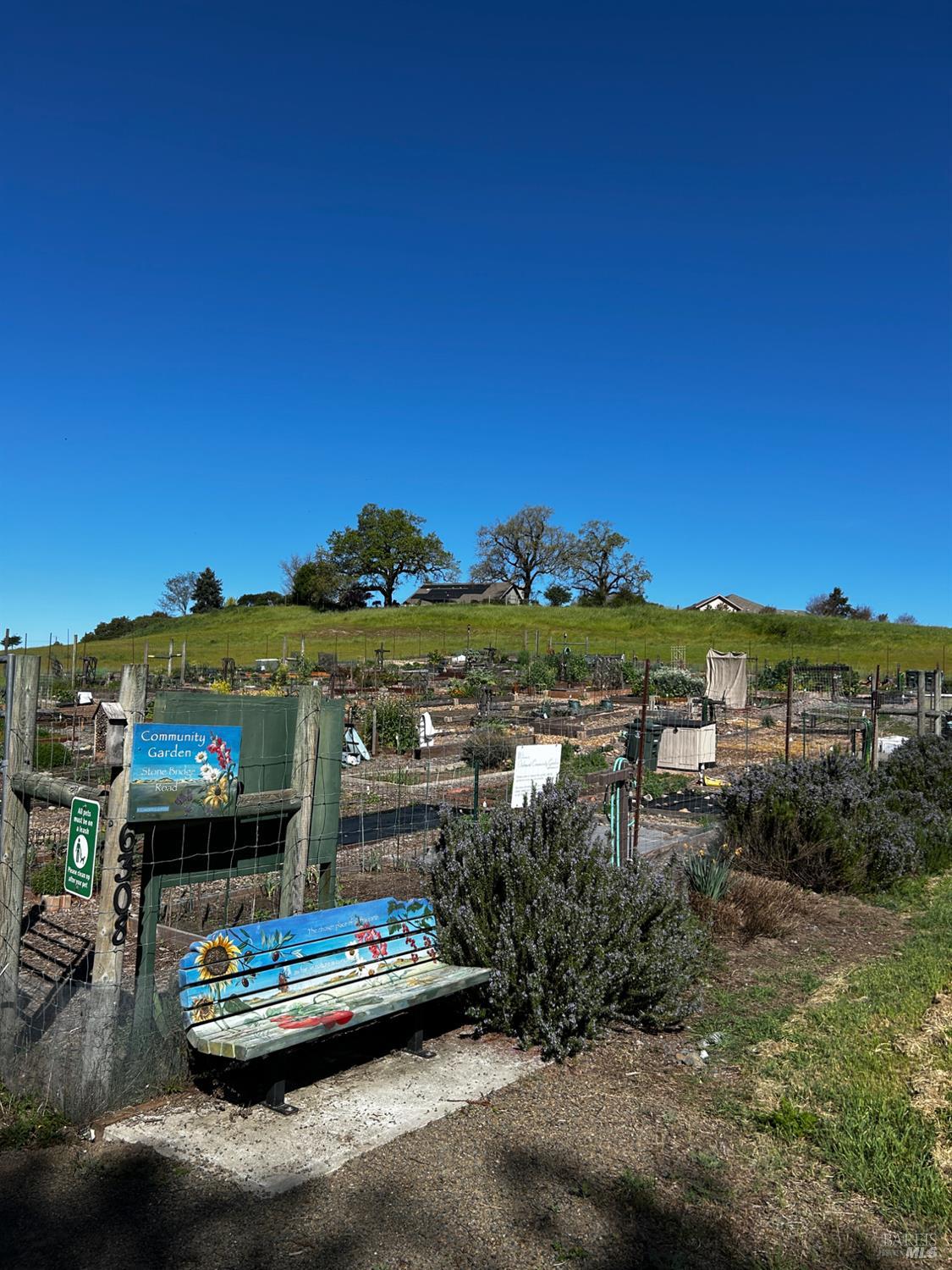 43 Aspen Meadows Circle Santa Rosa, CA 95409 - Photo 37 of 52 Community Gardens.