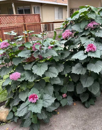 $535,000 | 43 Aspen Meadows Circle, Santa Rosa, CA 95409