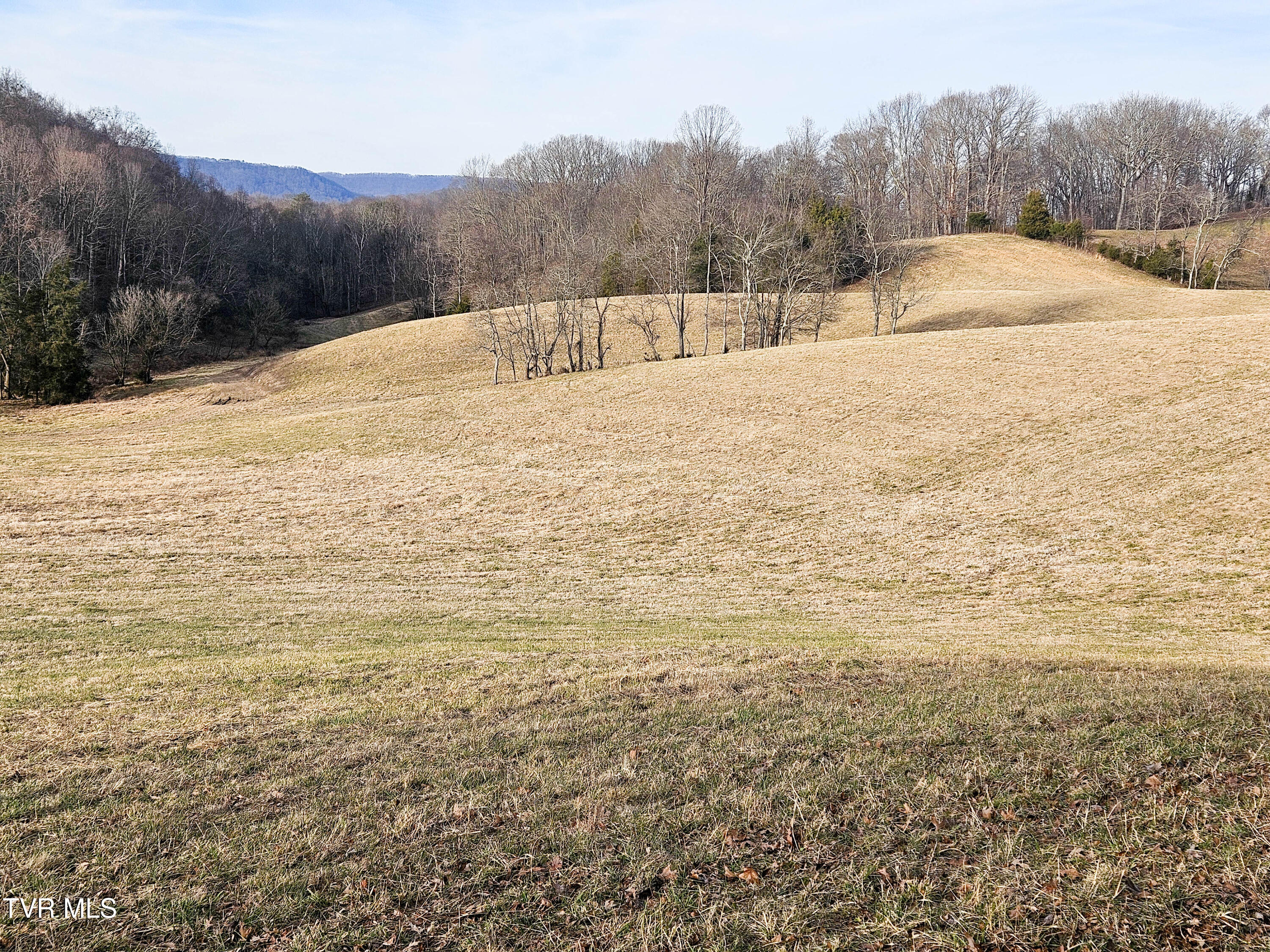 760 Church Road Fall Branch, TN 37656 - Photo 42 of 49 20260105_155046
