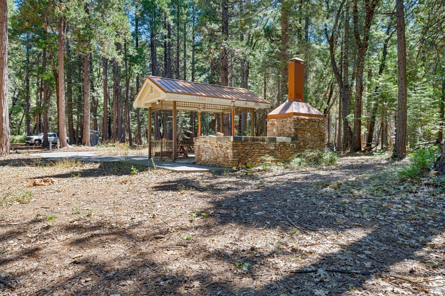 740 Hideaway Loop Alta, CA 95701 - Photo 36 of 74 a backyard of a house with barbeque oven table and chairs