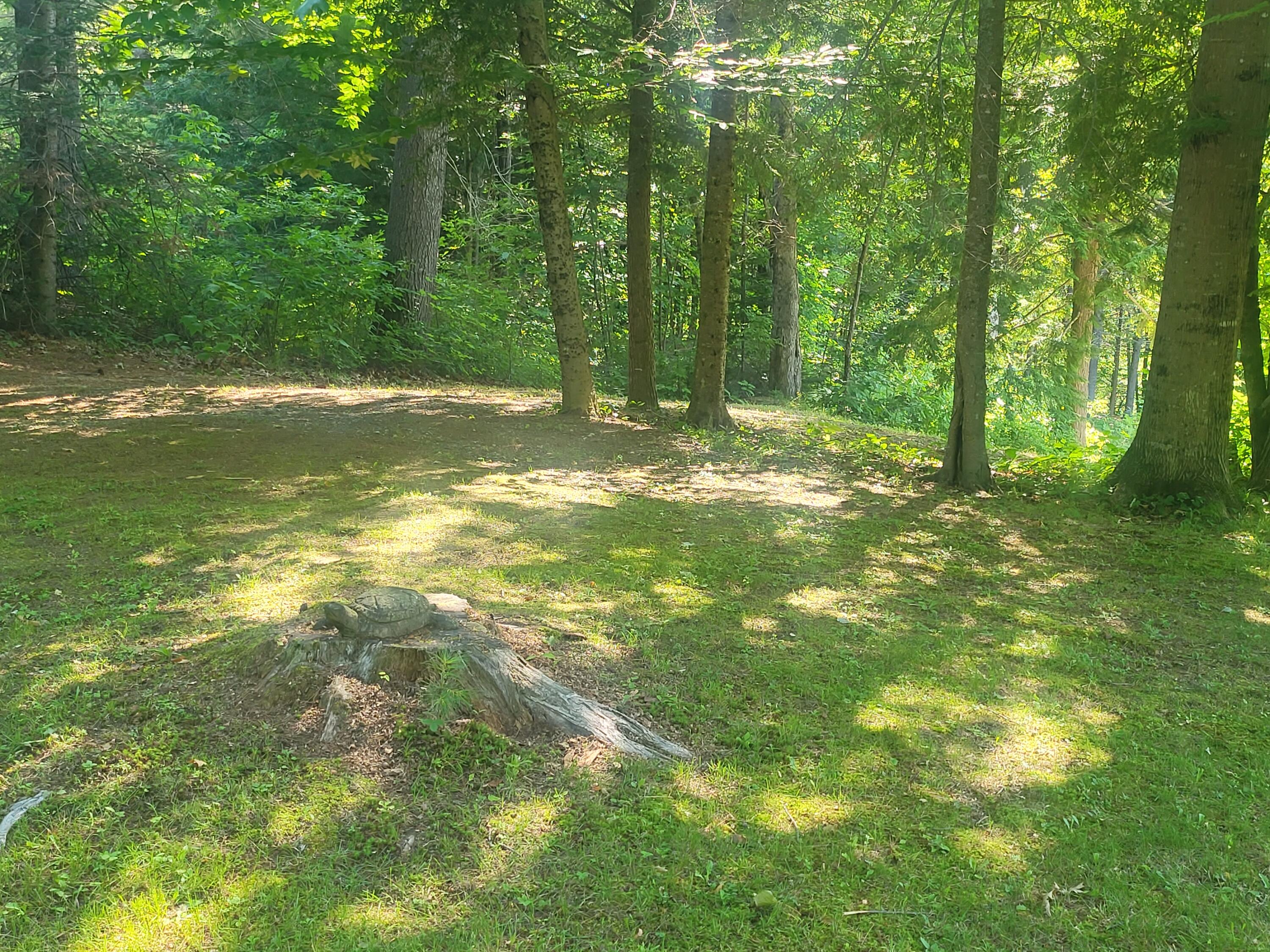 301 River Road Madison, ME 04950 - Photo 23 of 56 20220715_094224