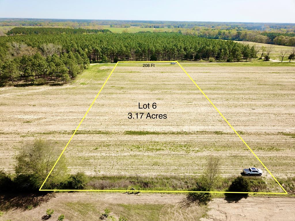 3.17-acres Summer Road Slocomb, AL 36375 - Photo 1 of 8