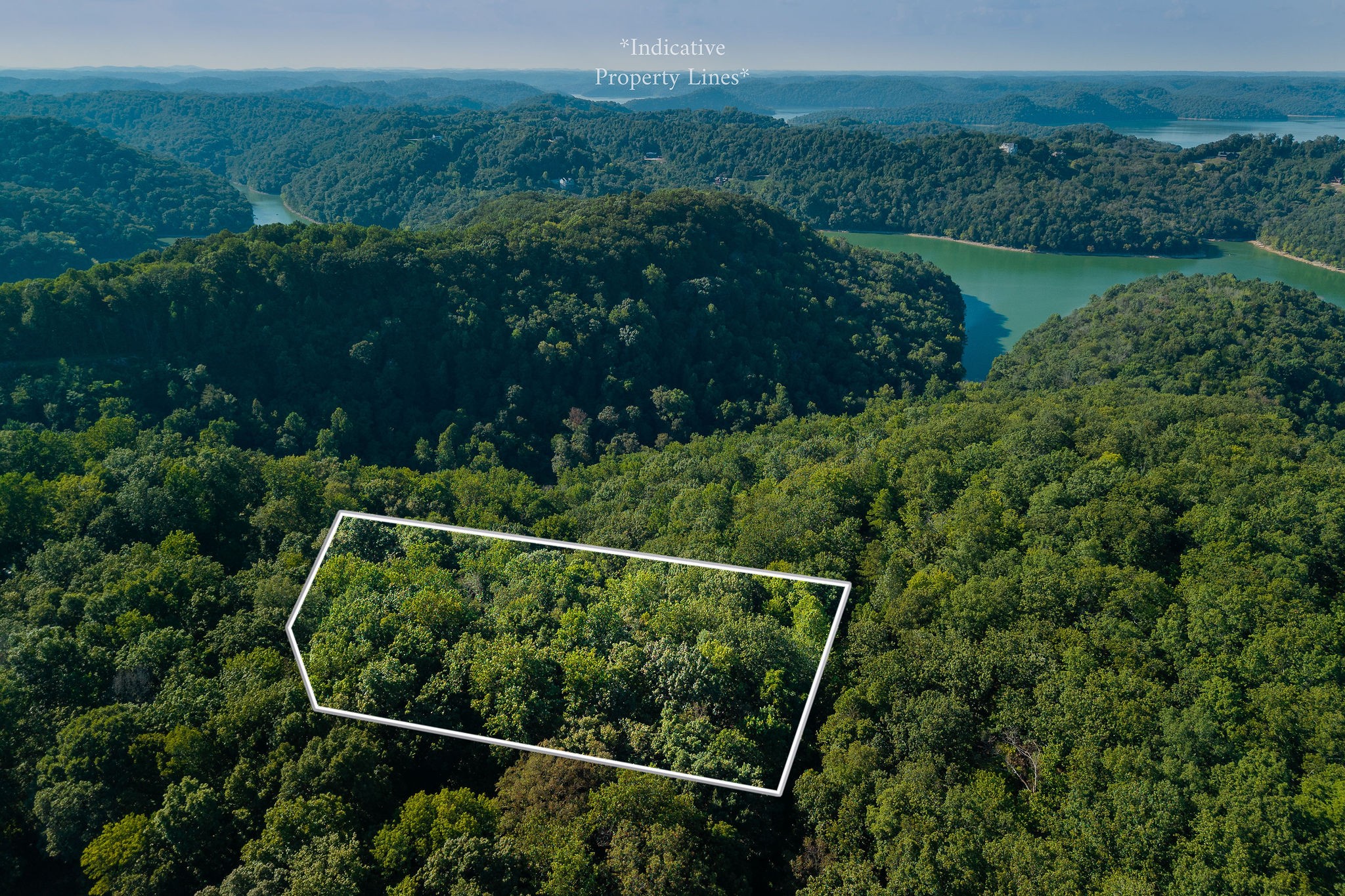 140 Floyd Road Smithville, TN 37166 - Photo 3 of 9 a view of a forest from a balcony