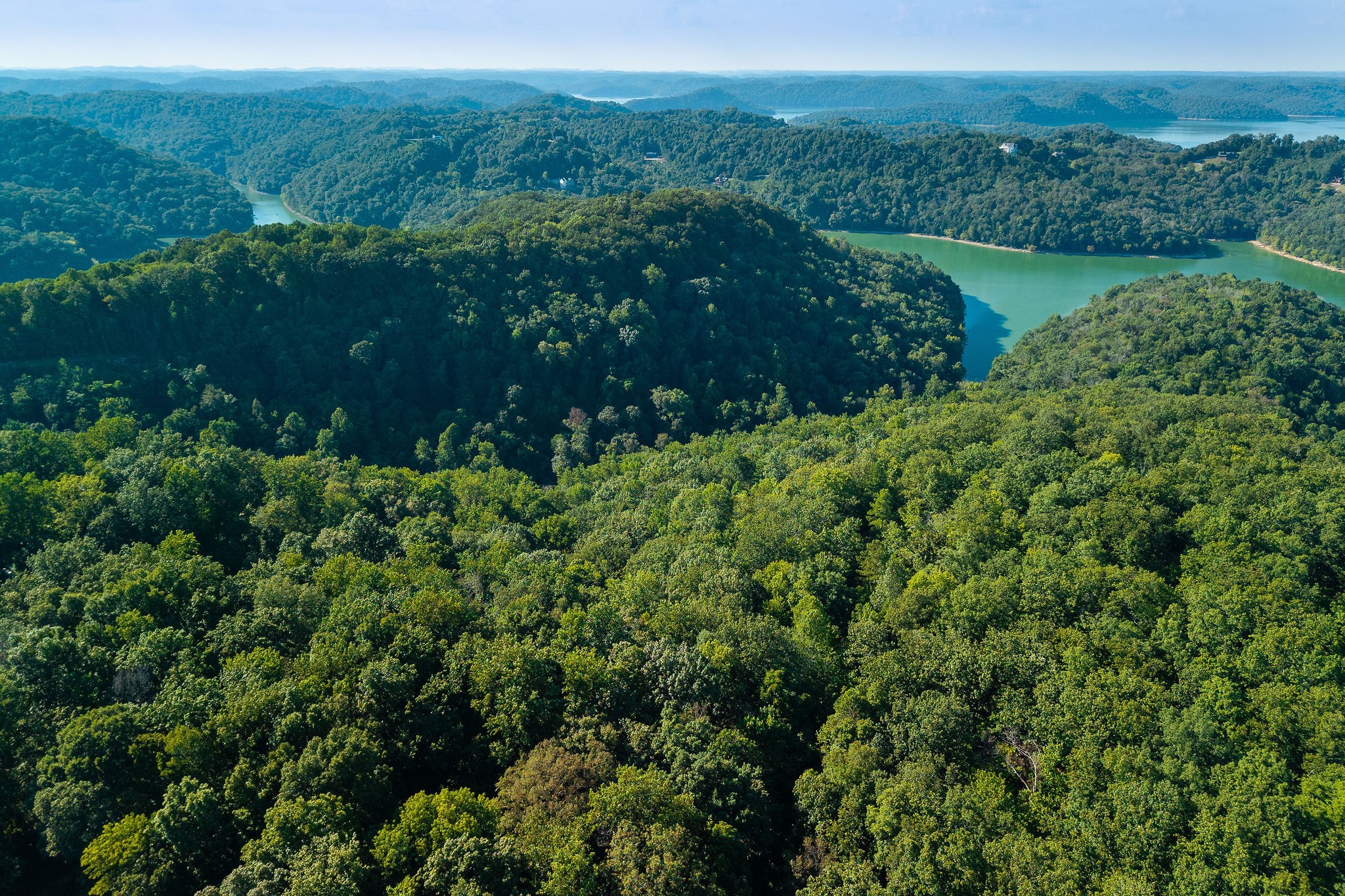 140 Floyd Road Smithville, TN 37166 - Photo 4 of 9 a view of a lush green forest with houses and lake view