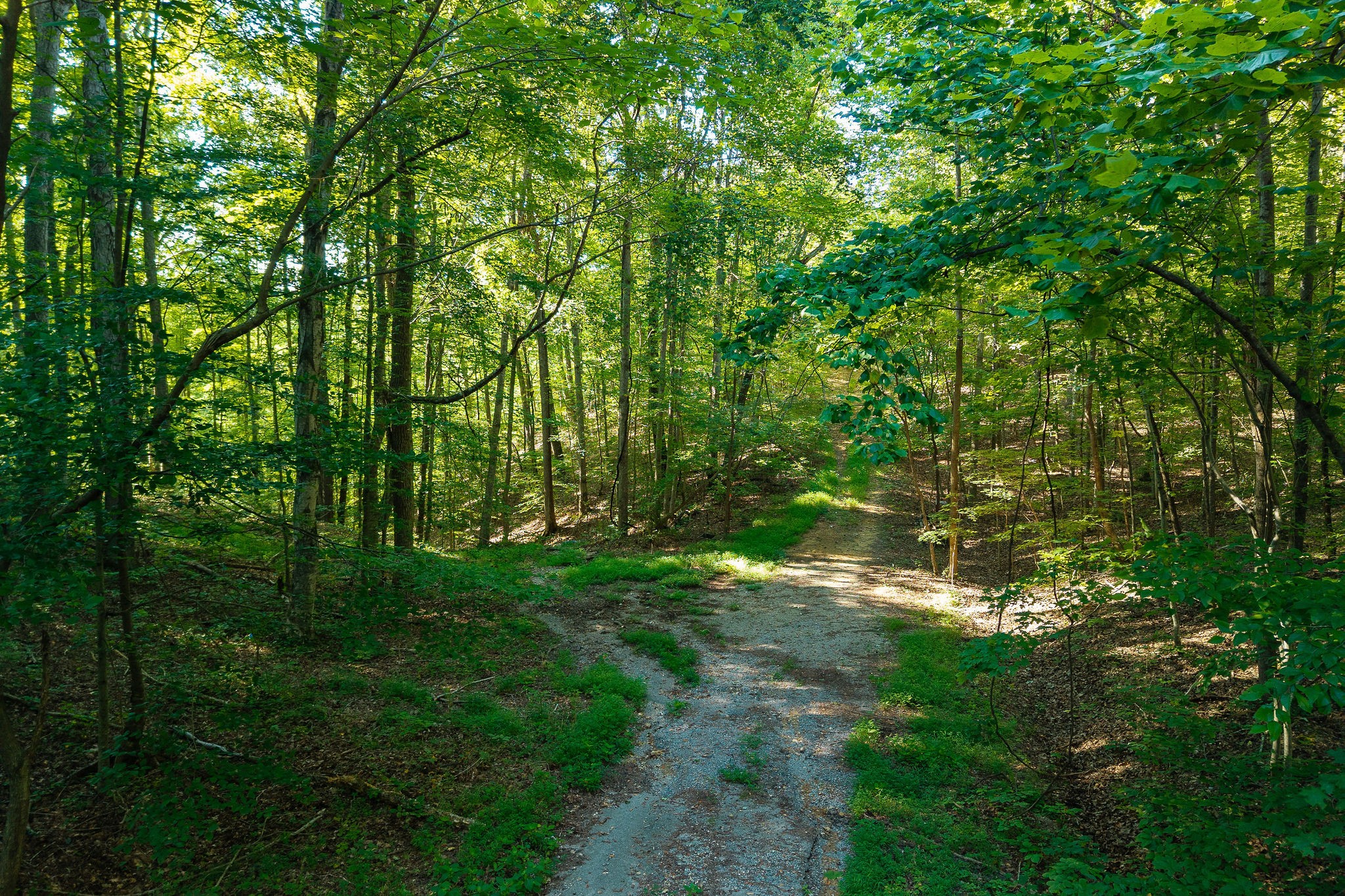 140 Floyd Road Smithville, TN 37166 - Photo 7 of 9 a backyard of a house with lots of green space and trees