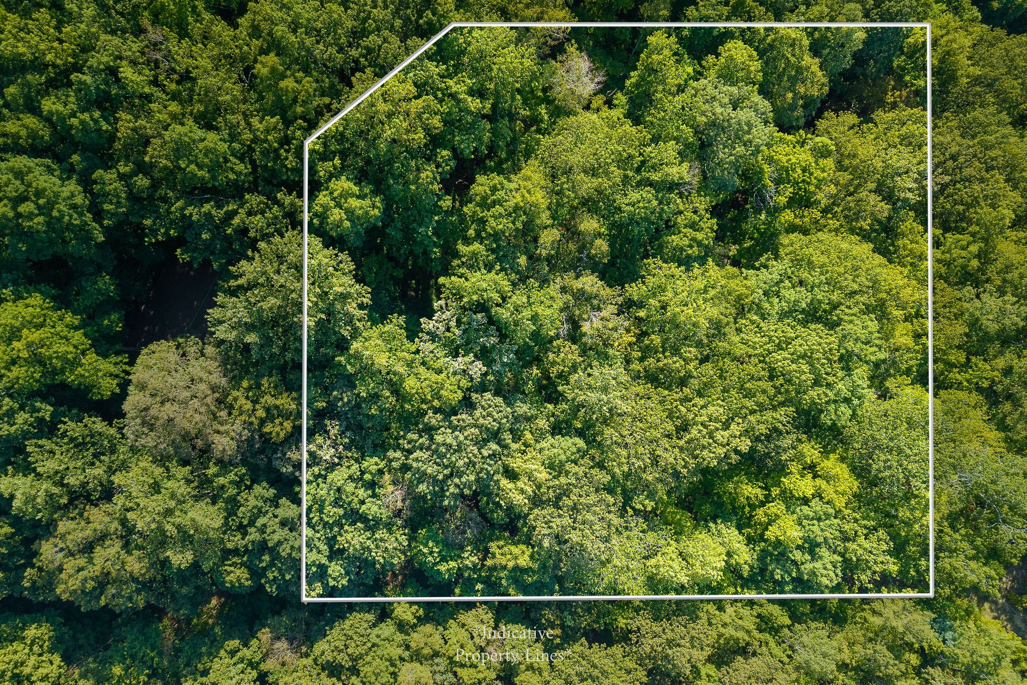 140 Floyd Road Smithville, TN 37166 - Photo 8 of 9 a view of a yard with plants