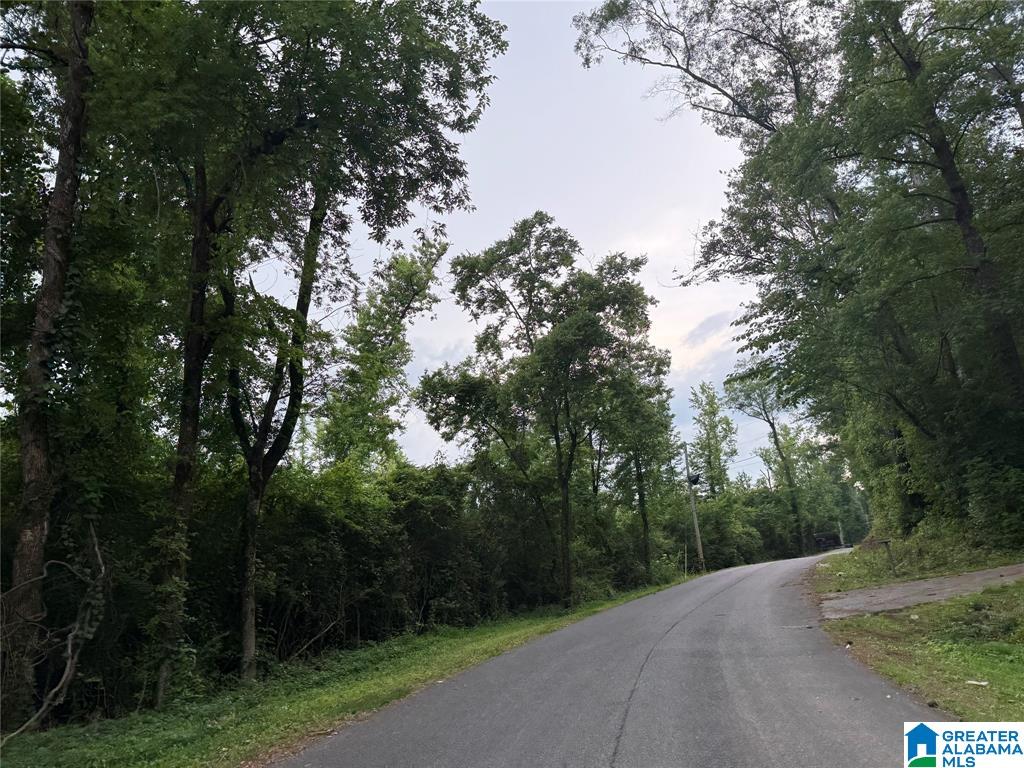 0 County Road 479 Vincent, AL 35178 - Photo 3 of 4