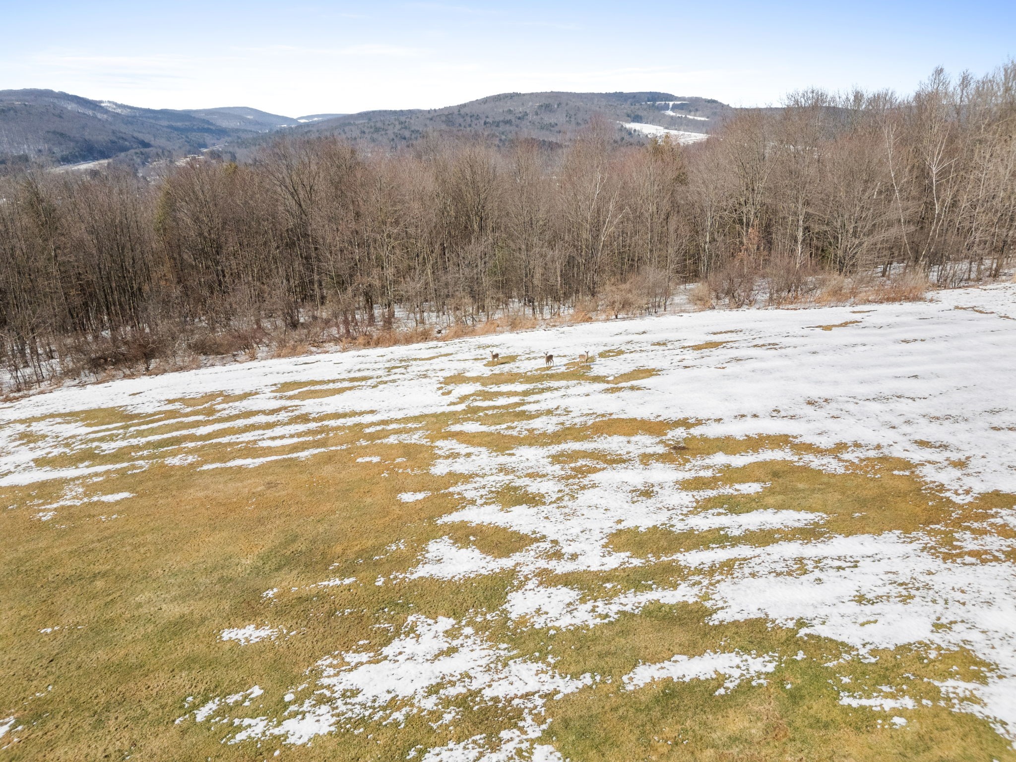 107 Cresson Hill Road Windsor, NY 13865 - Photo 4 of 34