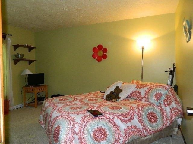 1029 Anderson Road Niles, MI 49120 - Photo 12 of 24 Additional Photo