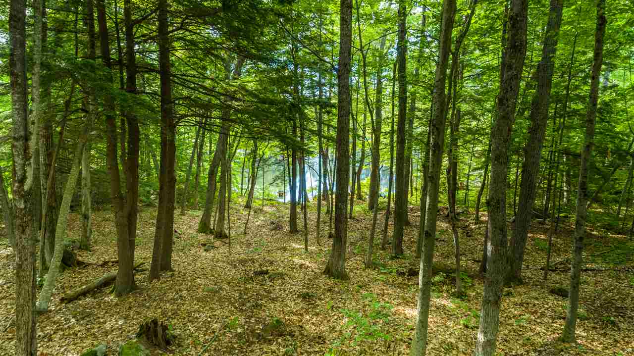 West Point Road, Unit 6 Moultonborough, NH 03254 - Photo 16 of 25 Gallery Image 16