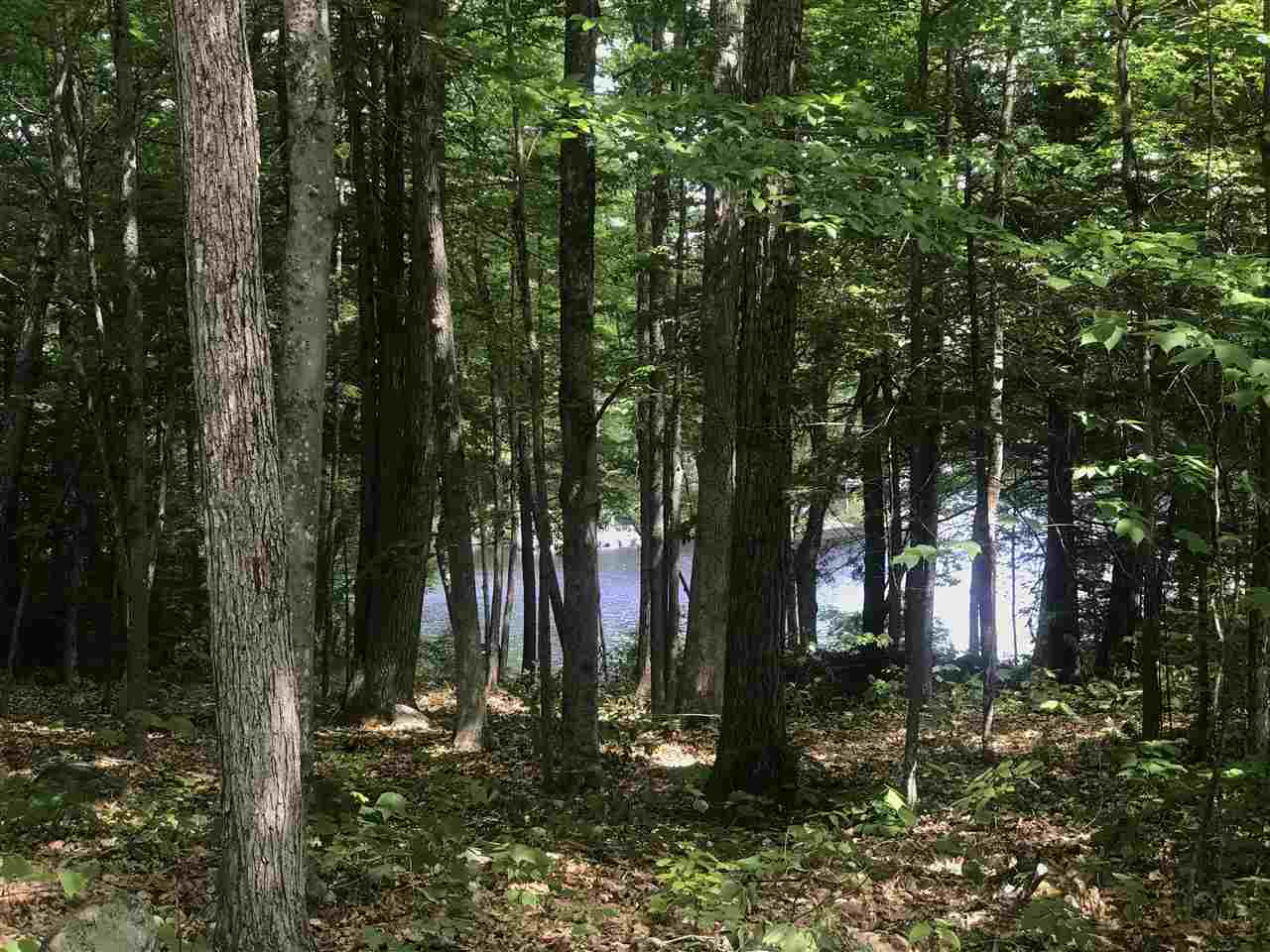 West Point Road, Unit 6 Moultonborough, NH 03254 - Photo 20 of 25 Gallery Image 20