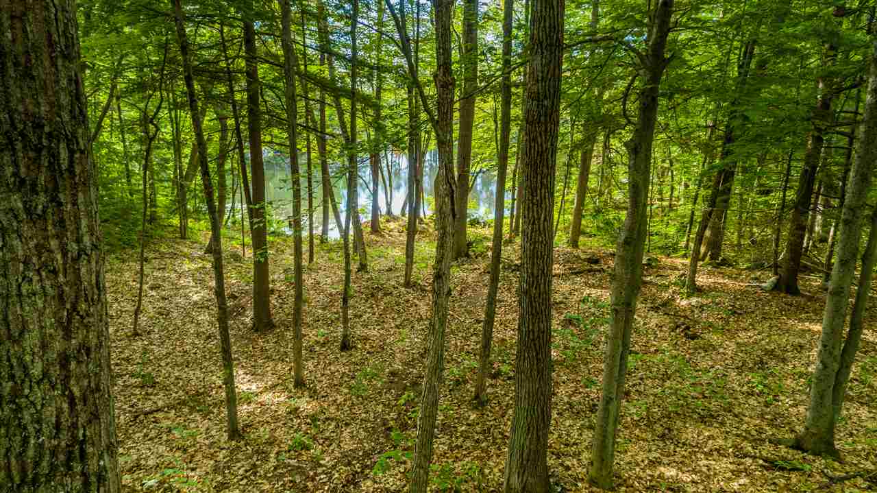 West Point Road, Unit 6 Moultonborough, NH 03254 - Photo 24 of 25 Gallery Image 24