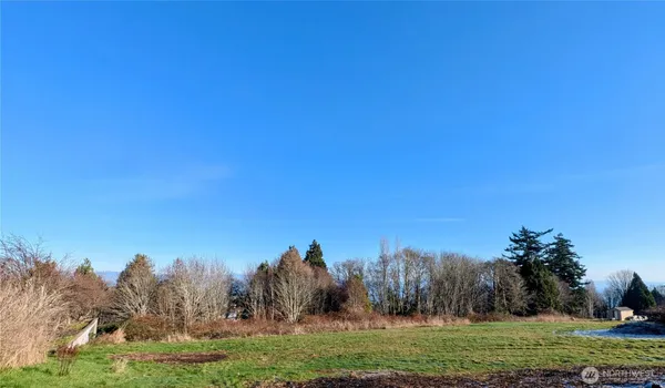 a view of swimming pool from a yard