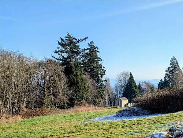 a view of a bunch of trees in a field