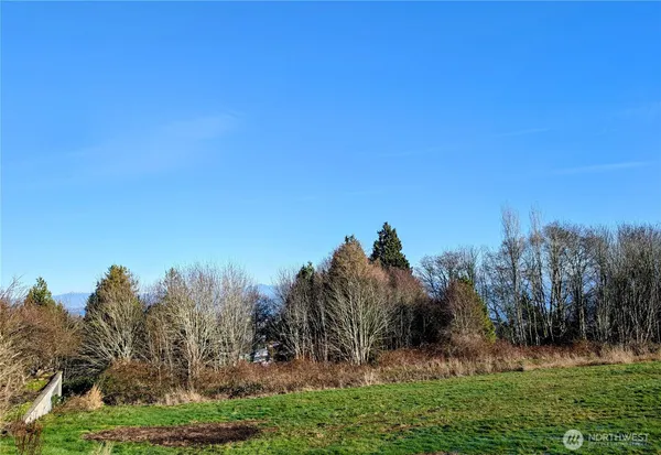 a view of a yard