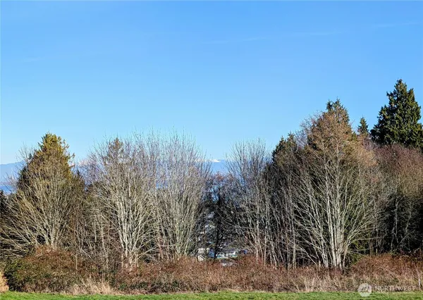a view of grassy field with trees in background