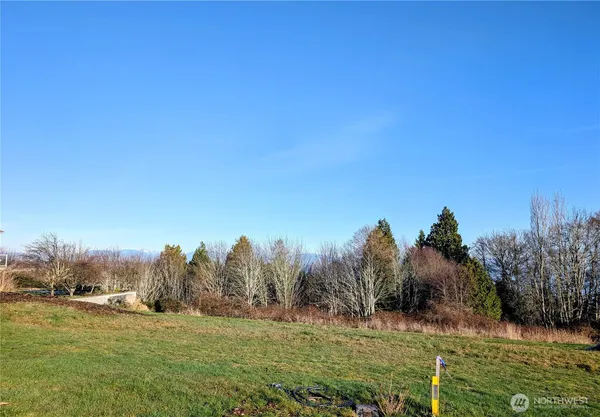 a view of a back yard