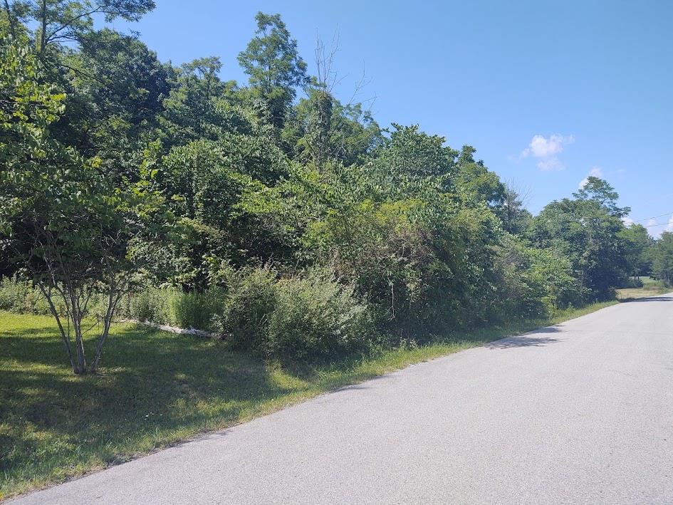 Lot 9 Sugar Run Road Shirleysburg, PA 17260 - Photo 1 of 11 Gallery Image 1