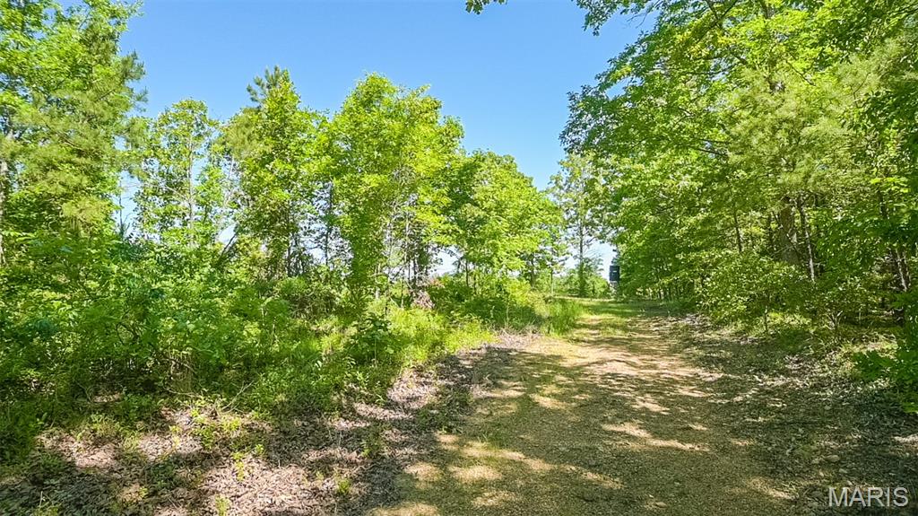 1743 Ripley Route North Doniphan, MO 63935 - Photo 83 of 97