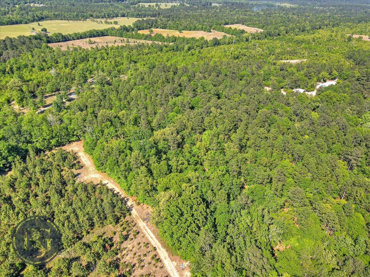 Lot 1 Whiskey Road Aiken, SC 29803 - Photo 8 of 15