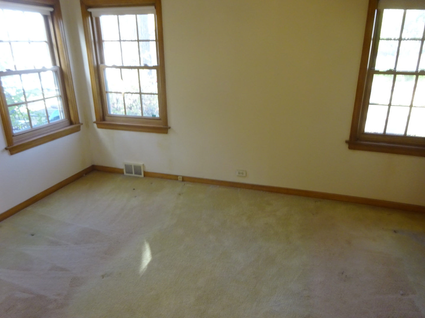 812 Seeley Avenue Park Ridge, IL 60068 - Photo 11 of 24 Gallery Image 11