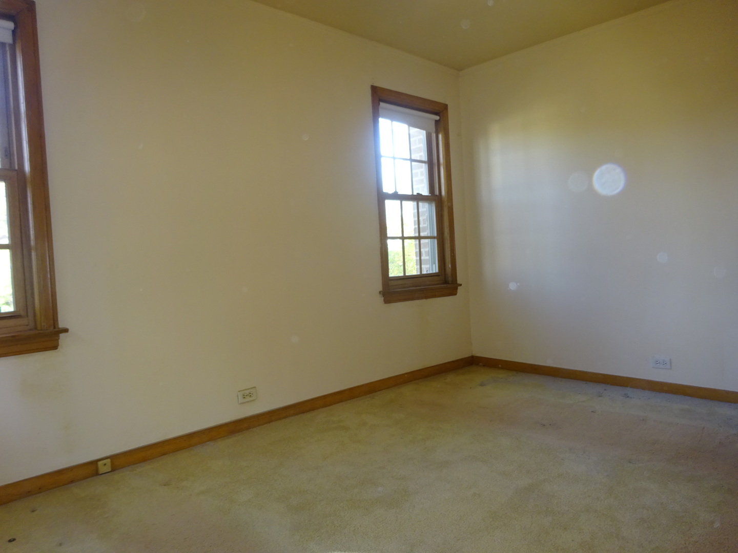 812 Seeley Avenue Park Ridge, IL 60068 - Photo 12 of 24 Gallery Image 12