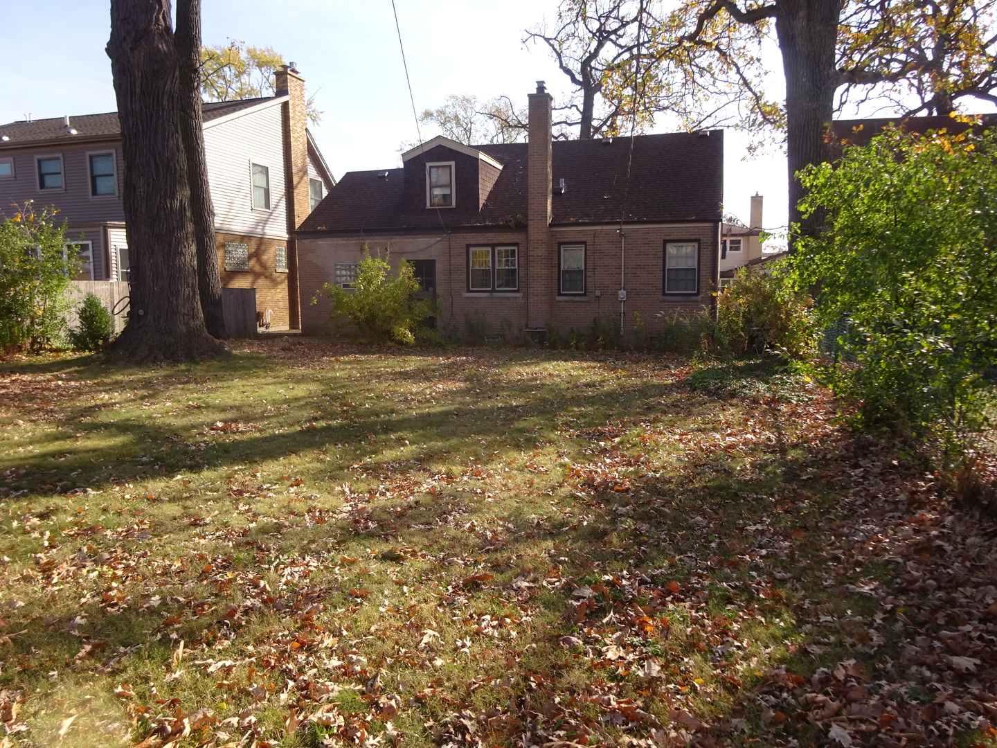812 Seeley Avenue Park Ridge, IL 60068 - Photo 22 of 24 Gallery Image 22