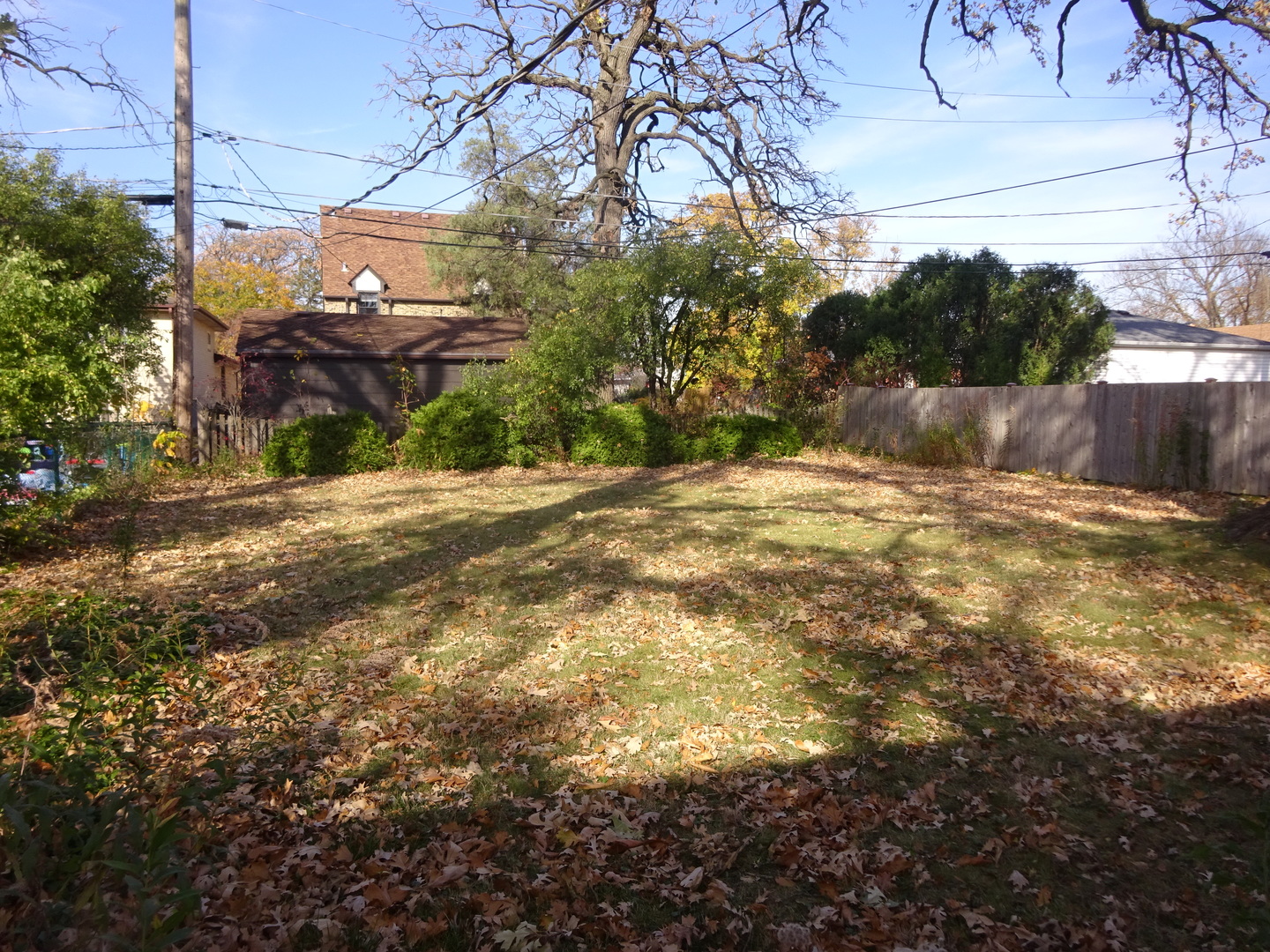 812 Seeley Avenue Park Ridge, IL 60068 - Photo 23 of 24 Gallery Image 23