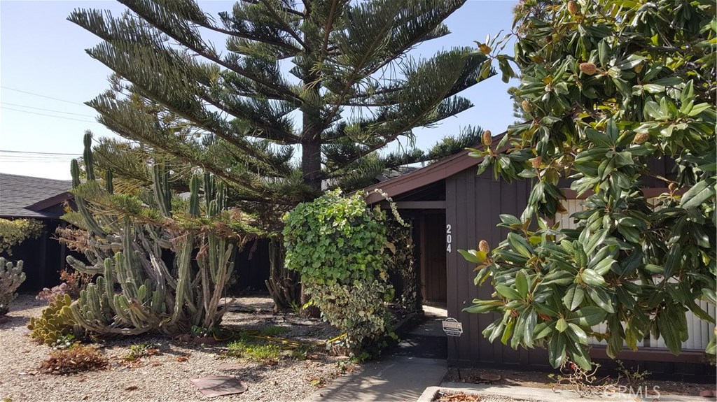 204 South Halcyon Road Arroyo Grande, CA 93420 - Photo 1 of 1 Low maintenance front landscaping.