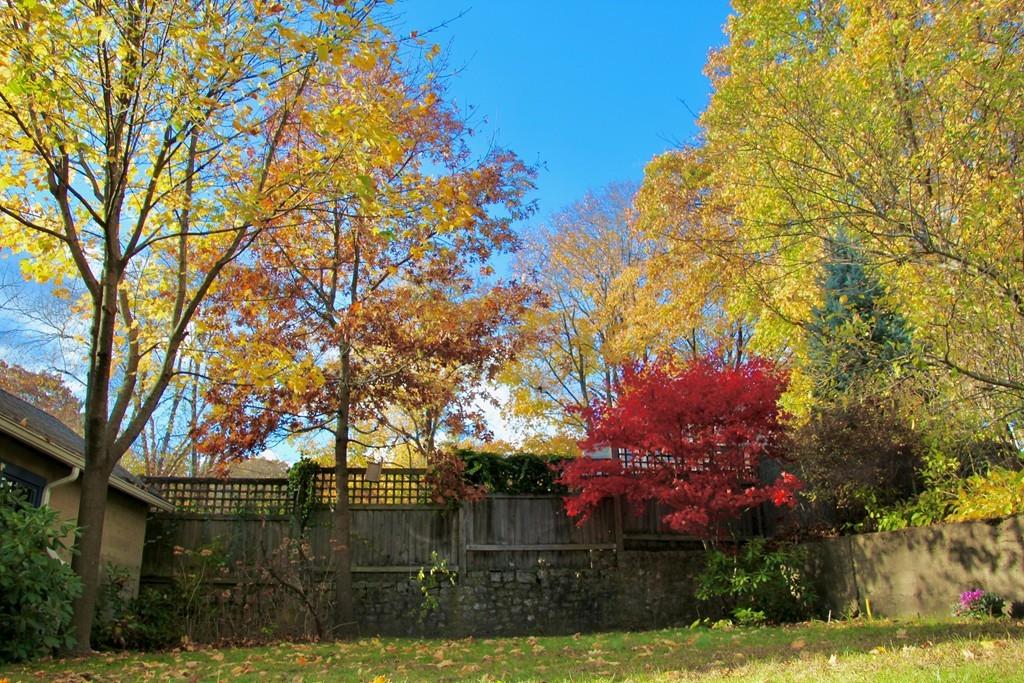 24 Newland Road Arlington, MA 02474 - Photo 35 of 35 Gallery Image 35