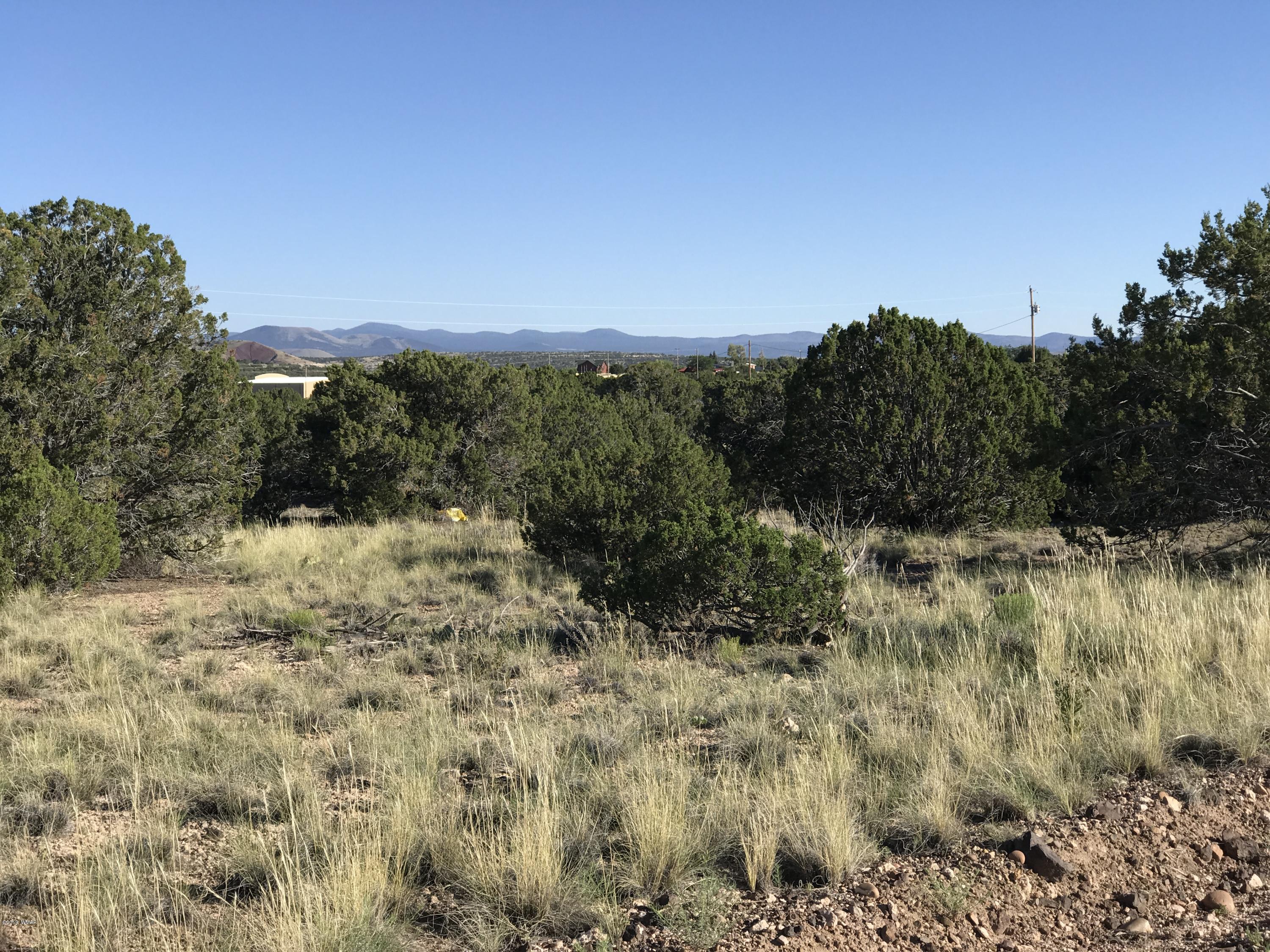 5067 Concho Valley Concho, AZ 85924 - Photo 2 of 5