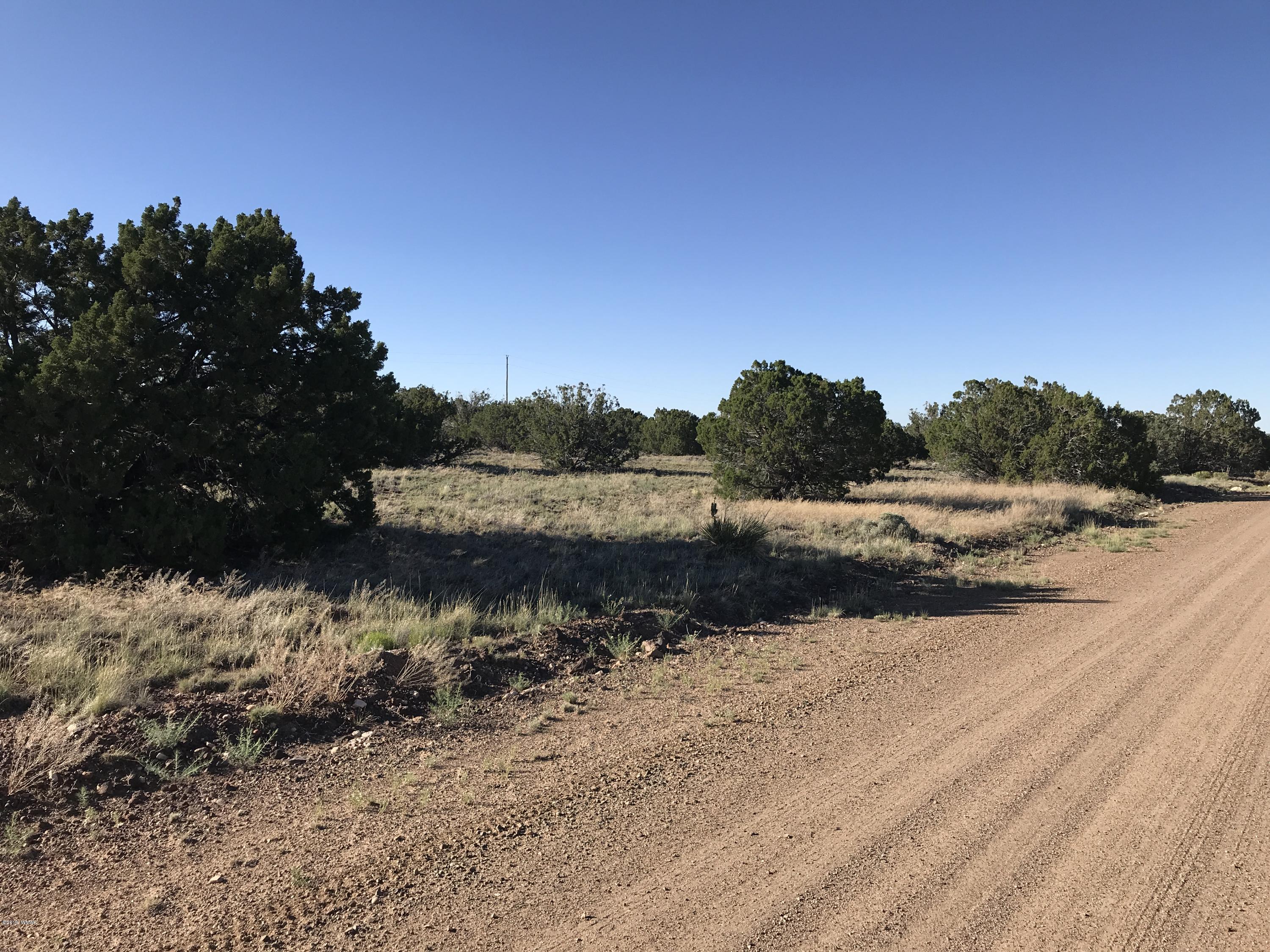 5067 Concho Valley Concho, AZ 85924 - Photo 3 of 5
