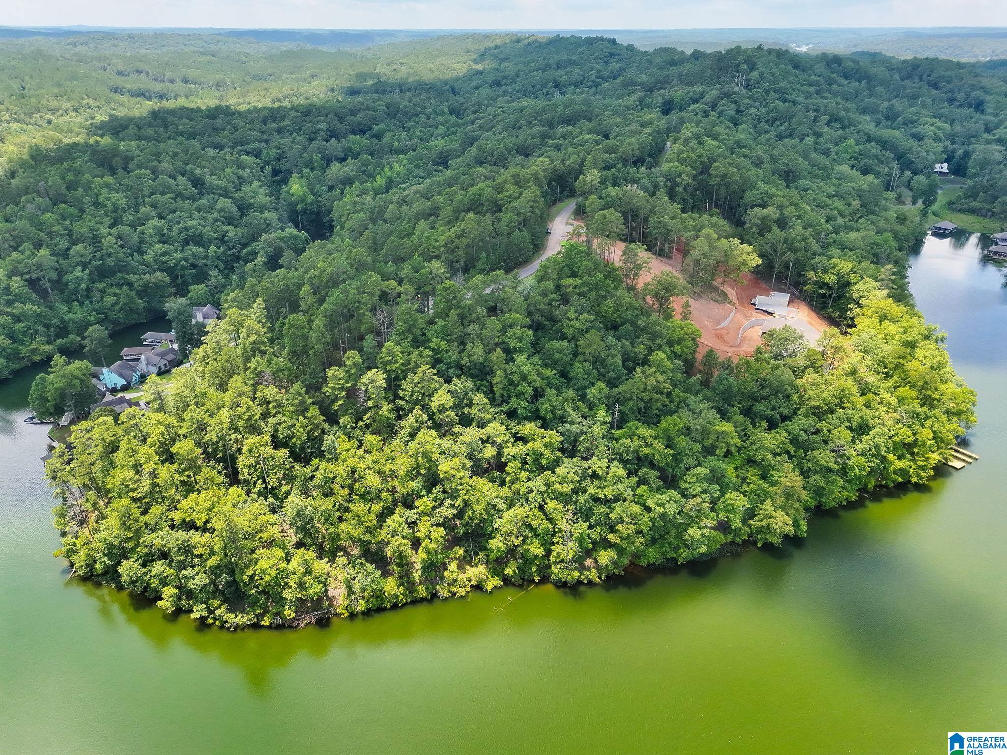 0 Preserve Road, Unit LOT 12 Clanton, AL 35046 - Photo 3 of 12
