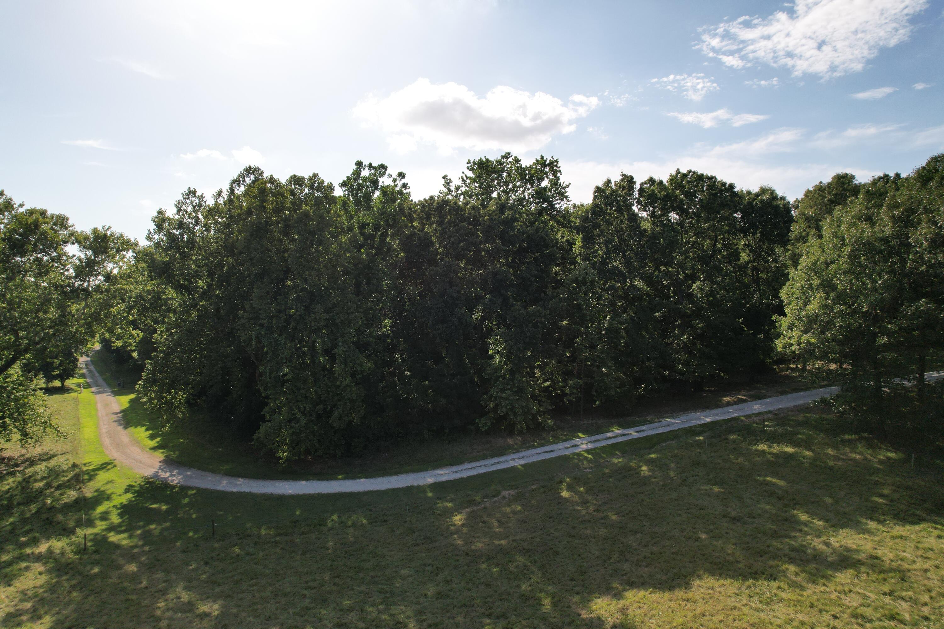 6731 Raccoon Road Pierce City, MO 65723 - Photo 47 of 99 DJI_0291