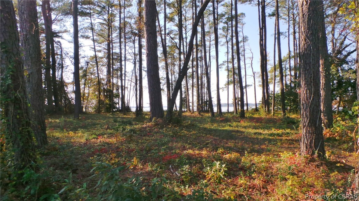 0 Stove Point Road Deltaville, VA 23043 - Photo 6 of 18
