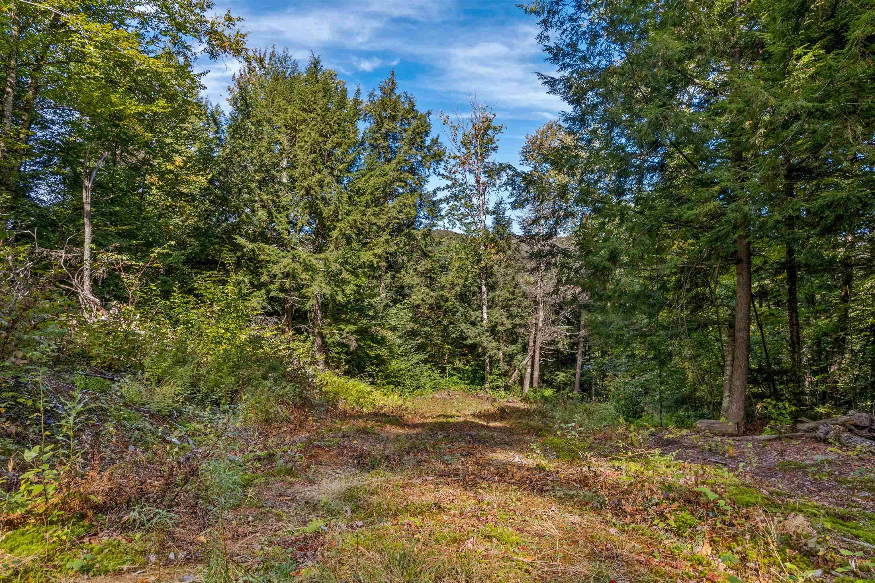 664 Ranney Road Stockbridge, VT 05772 - Photo 9 of 19 Gallery Image 9