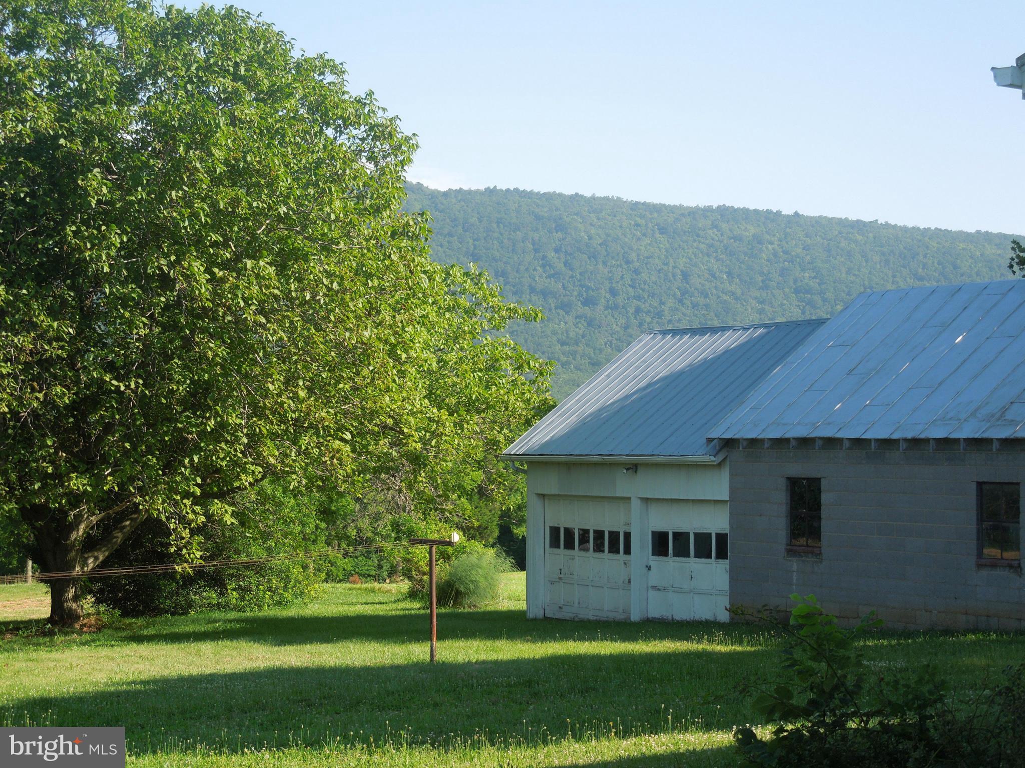 10161 Back Road Maurertown, VA 22644 - Photo 13 of 20 Exterior (Rear)