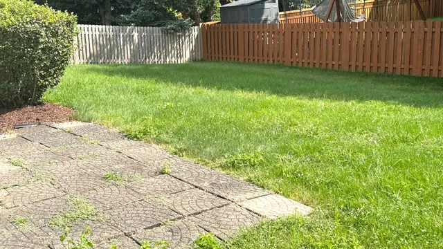 a view of a yard with wooden fence