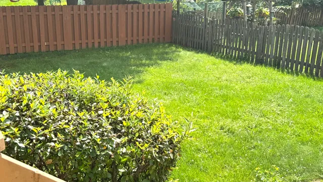 a view of a backyard with pathway