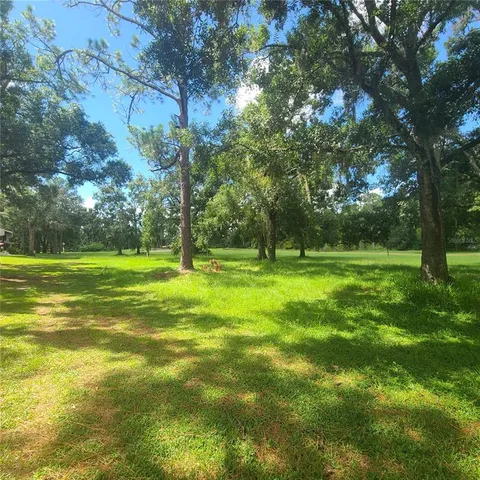 a view of a park with large trees
