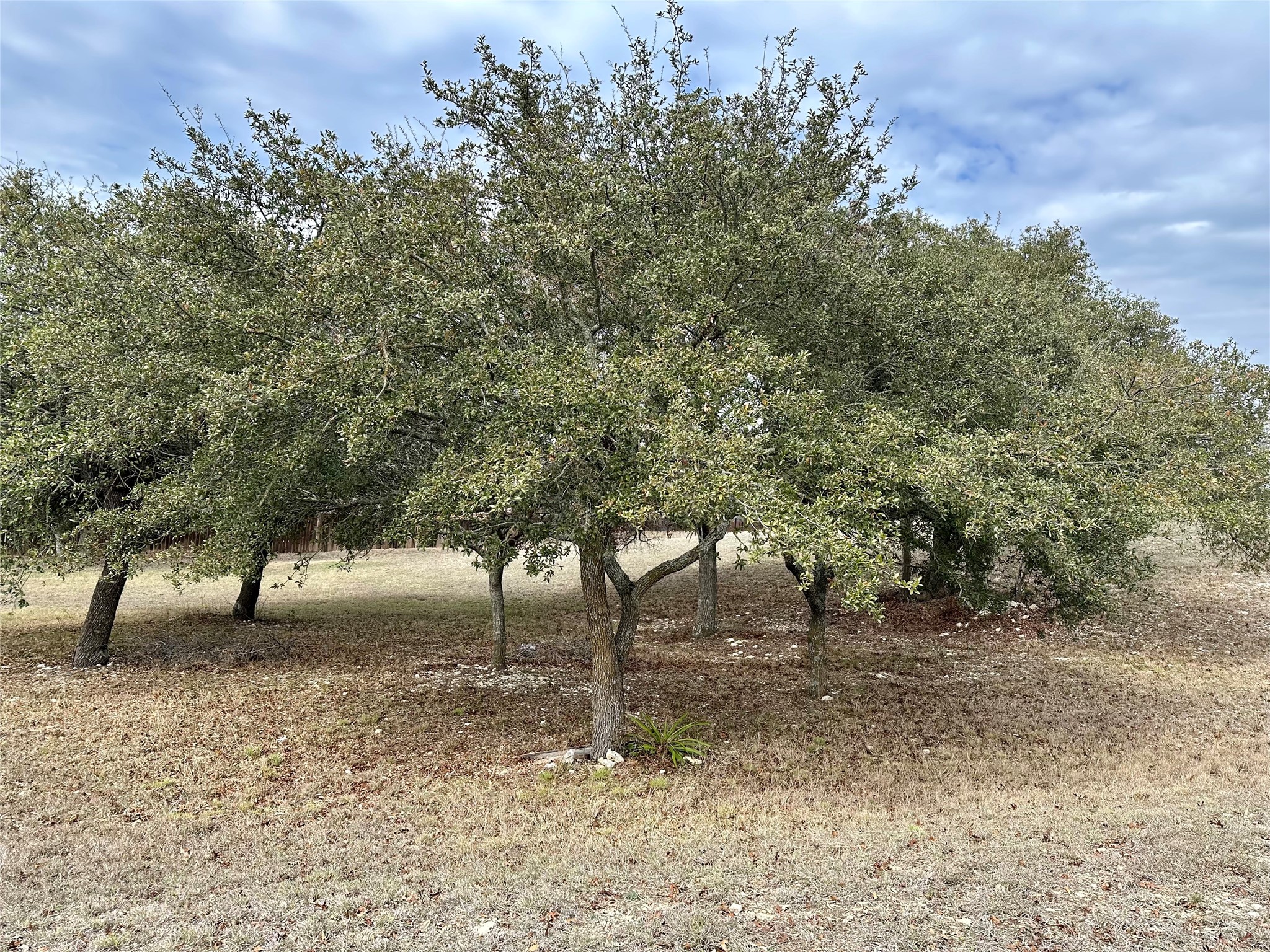 Lot 24 Andy's Point Burnet, TX 78611 - Photo 8 of 15