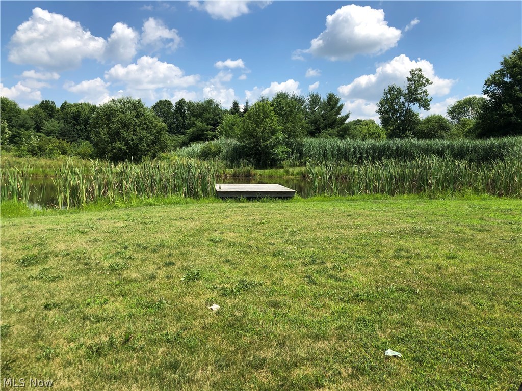 8261 Rodgers Road Lodi, OH 44254 - Photo 15 of 35 3/4 acre stocked pond with large mouth bass, crappie, bluegill & more!