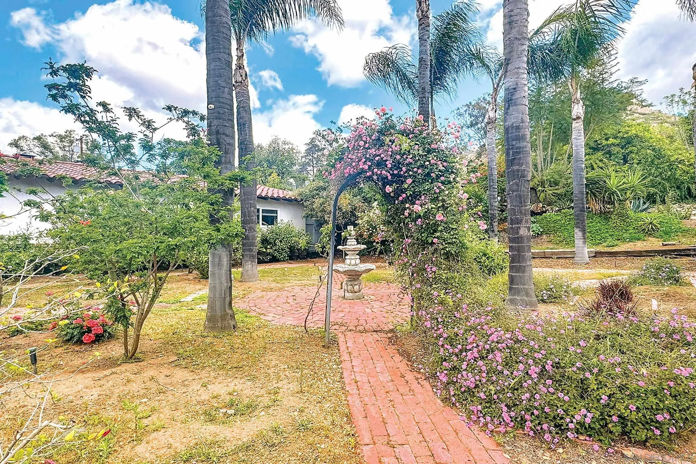 1996 Valley Rim Road El Cajon, CA 92019 - Photo 29 of 74 a view of a yard with plants