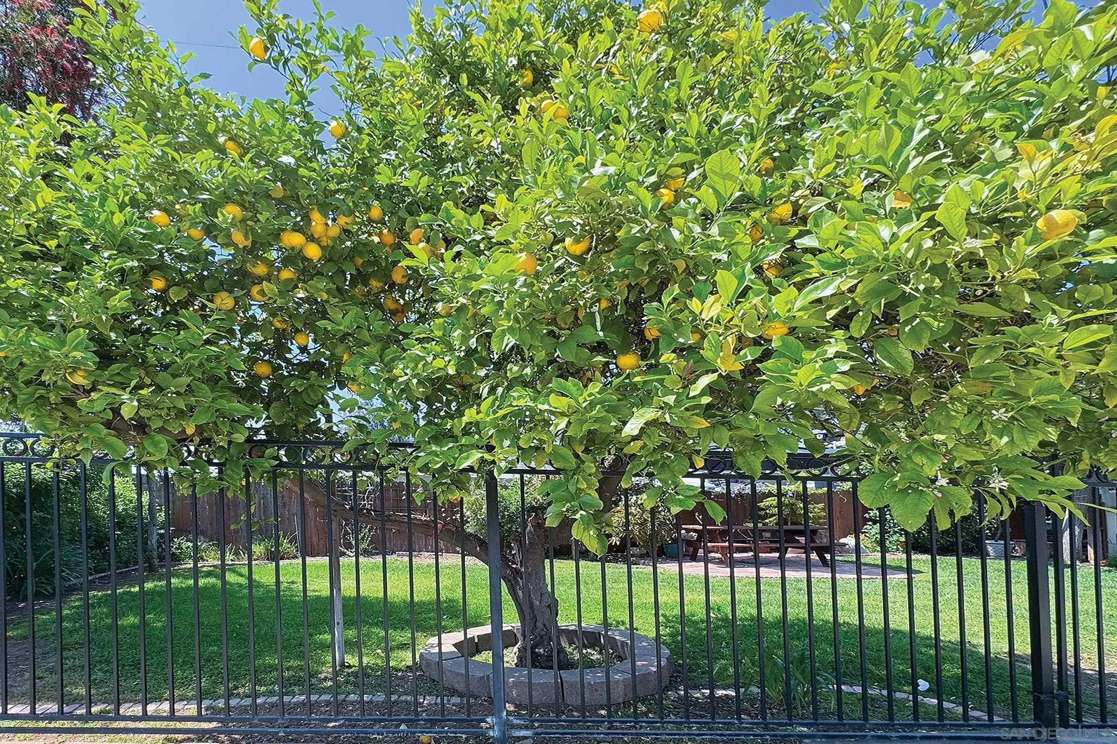 1996 Valley Rim Road El Cajon, CA 92019 - Photo 44 of 74 a view of a park