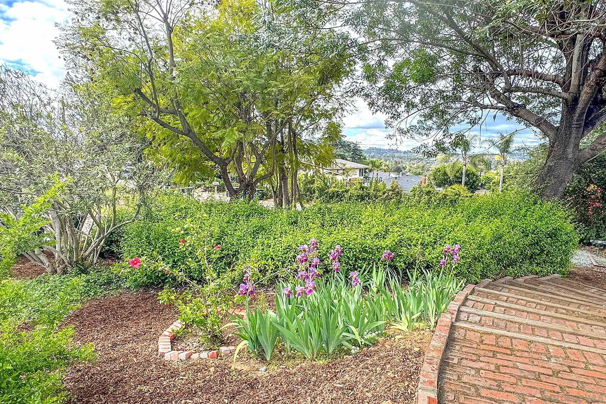 1996 Valley Rim Road El Cajon, CA 92019 - Photo 57 of 74 a backyard of a house with lots of green space and trees all around
