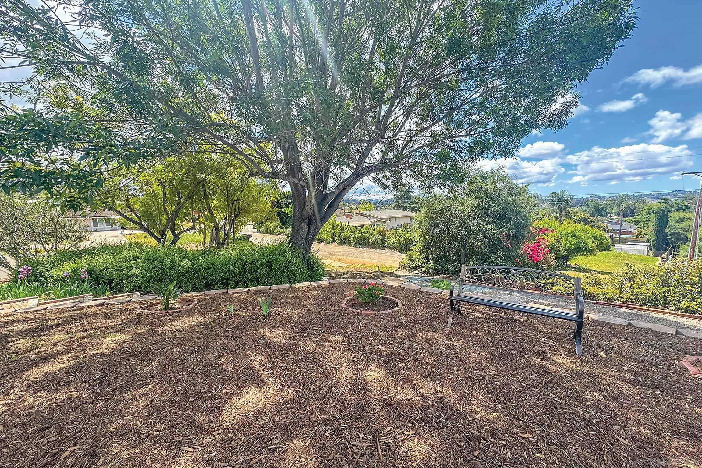 1996 Valley Rim Road El Cajon, CA 92019 - Photo 8 of 74 a view of a park with large trees