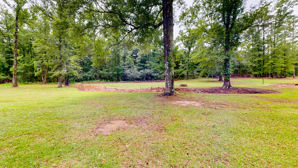 335 A J Register Road Dothan, AL 36301 - Photo 38 of 40