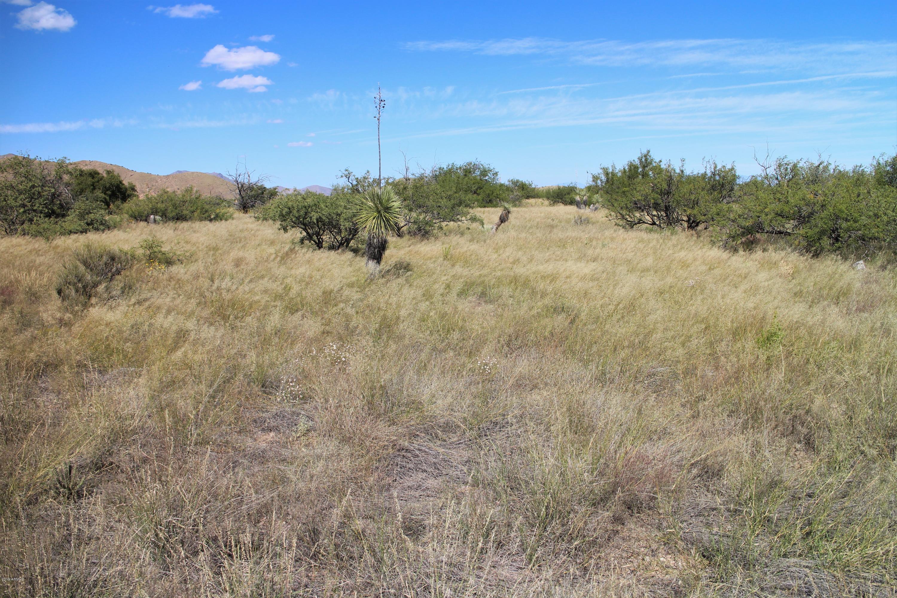 Tbd West Pearce Road, Unit 168 Pearce, AZ 85625 - Photo 7 of 12 Pearce #7