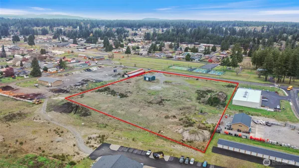 a view of a tennis ground with a large tree