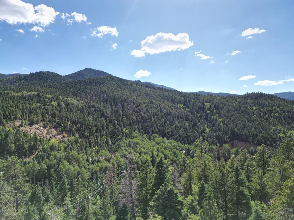 9783 Highway 165 Rye, CO 81069 - Photo 32 of 52 Gallery Image 32